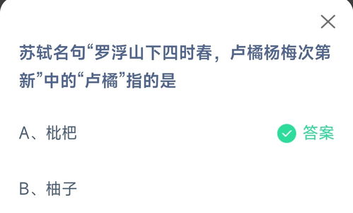 苏轼名句探秘：罗浮山下四时春意，卢橘杨梅逐序来 4