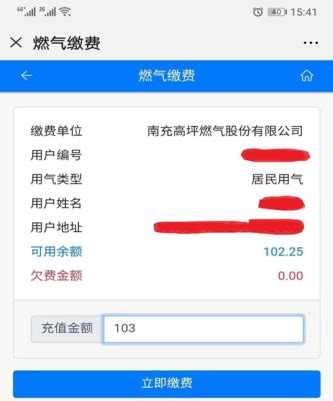 支付宝怎么进行燃气费缴费充值？ 5