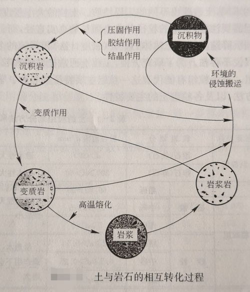 探索“土”的奇妙世界：丰富多彩的土组词汇总 1