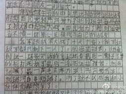 端午情怀作文 3