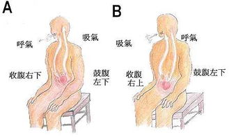 轻松掌握高音技巧！大师级教学，手把手带你唱响高音 2