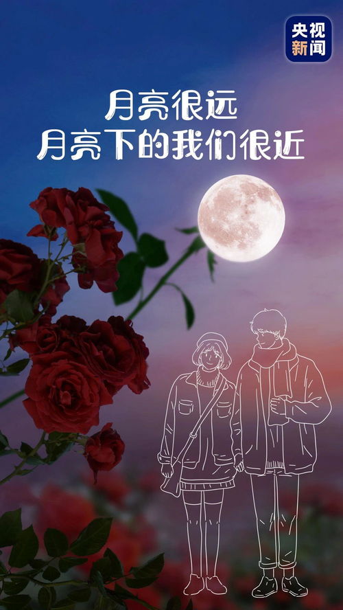 你会喜欢我用月亮的光为你照明梳头吗？ 2