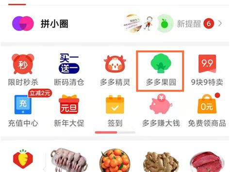 如何在拼多多中进入多多果园 2