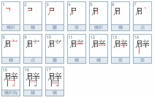 手臂“臂”字正确笔顺详解 2