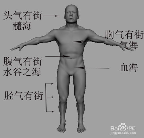 浅识中医导引之道 2