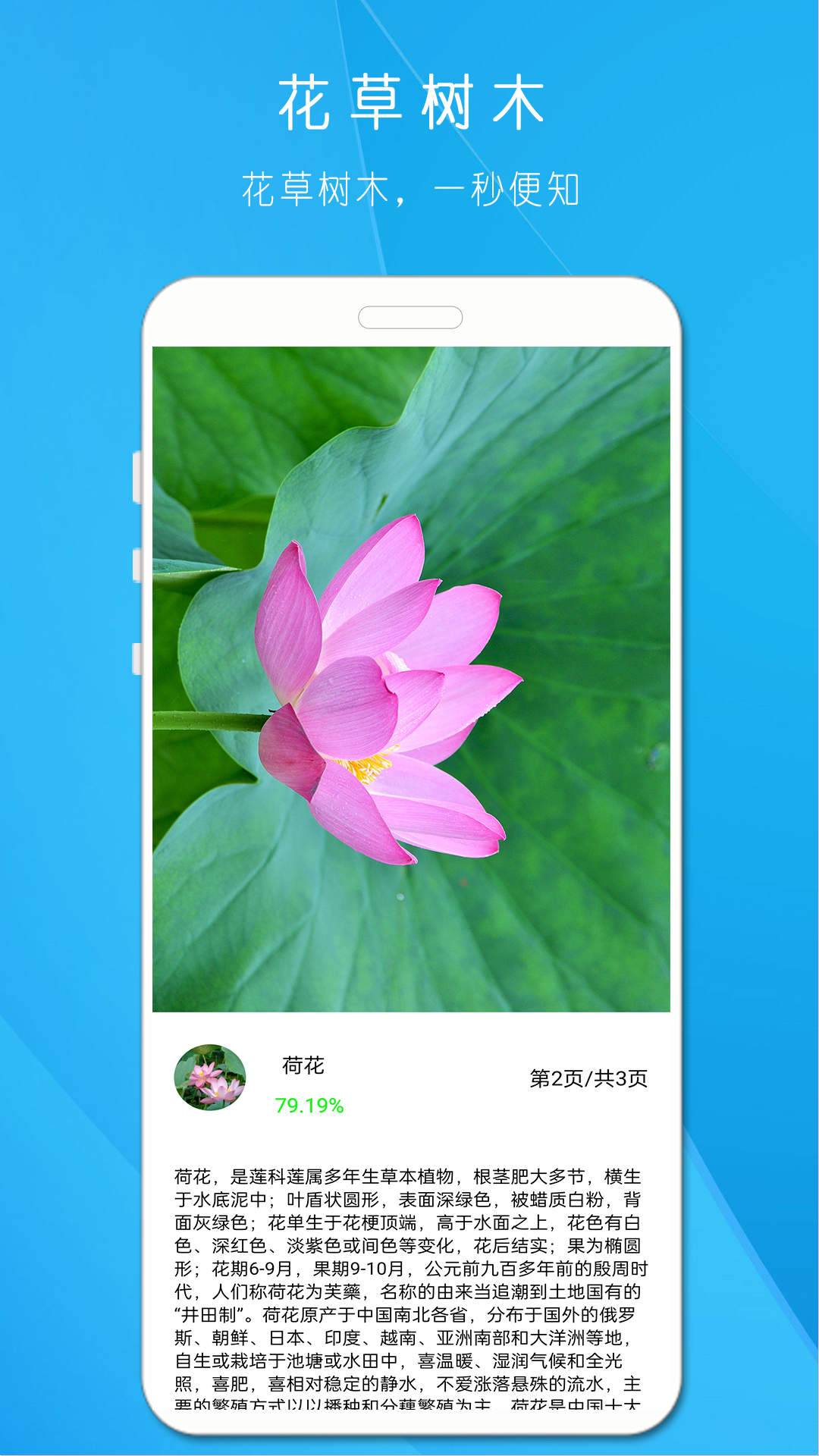 拍照识万物 1