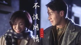 这首歌曲中包含歌词：我心伤痕累累，遍布千疮百孔 3