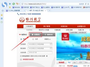 川航网上值机全攻略：轻松购票，在线秒选心仪座位！ 2