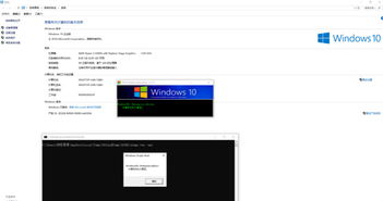 如何获取Windows 10永久激活产品密钥的指南 1