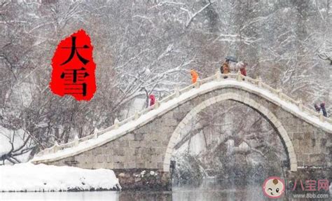 仲冬民谚解析：大雷小雪，煮饭不息——蚂蚁庄园 2