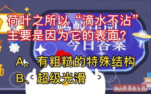 为什么荷叶能做到滴水不沾？关键在于它的表面 3