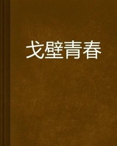 推荐：精彩非悲剧的青春小说有哪些？ 1