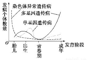 揭秘：人体各阶段的生长发育奥秘 4