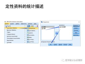 SPSS入门指南：初步探索SPSS软件（1） 2