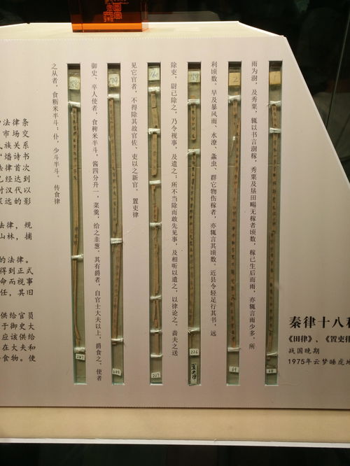 揭秘田律：深入解读与法律应用 4