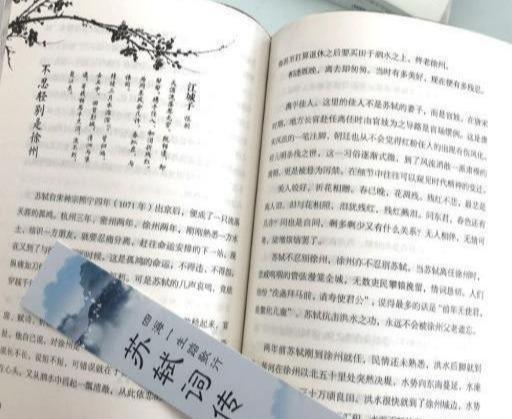 寻找那首遗失旋律：老歌词句片段引回忆 3