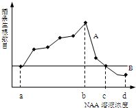 NAA与NPA的核心差异解析 3