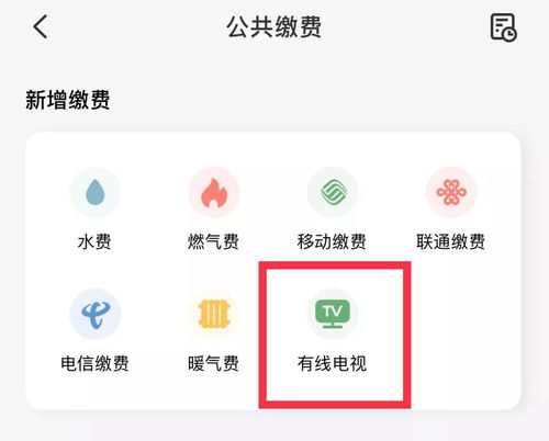 掌握“我的长沙APP”便捷技巧：轻松完成有线电视缴费 3