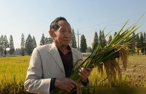 揭秘：袁隆平的故乡与卓越身份探秘 4