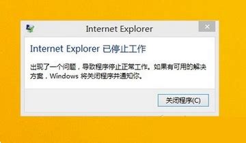 拯救崩溃的Internet Explorer：解决停止工作问题的终极指南 3