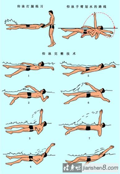 怎样快速掌握仰泳的动作要领和技巧？ 2