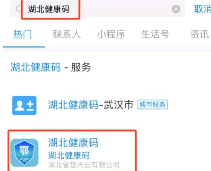 一键掌握：如何申请湖北健康码的详细步骤 3