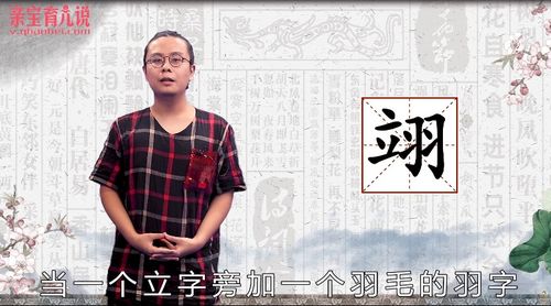 揭秘！“翊”字的正确发音，你念对了吗？ 2
