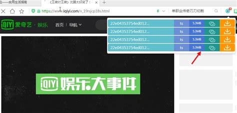 轻松学会：如何下载WebPlayer中的网页电影 5