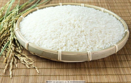大米：千年传承的谷物之王与其发展历程 3