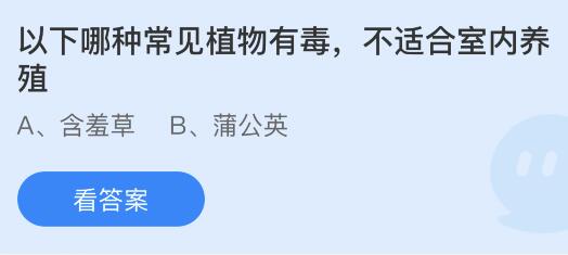 室内不宜养殖的有毒常见植物：蚂蚁庄园解析 3