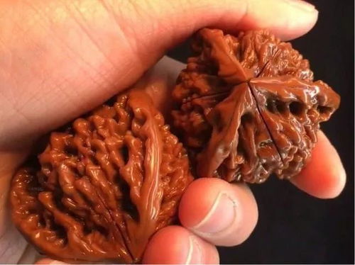 轻松掌握！快速剥开核桃的小妙招 2