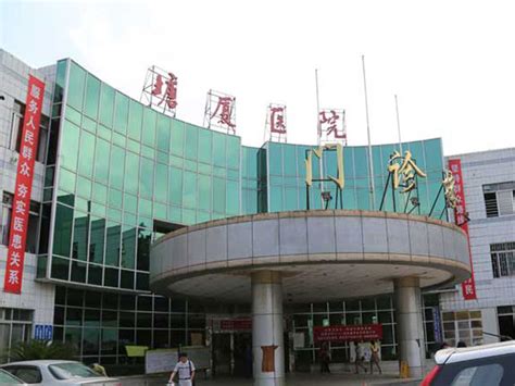 塘厦镇林村疫情动态：揭秘确诊病例具体数字 2