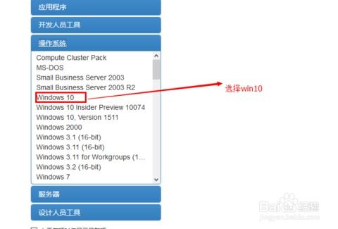 轻松指南：如何在MSDN下载Windows 10官方镜像 4