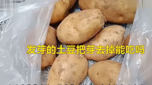 发芽的土豆怎样处理后才能安全食用？ 2