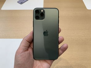 如何调整iPhone 11相机的专业模式设置 2