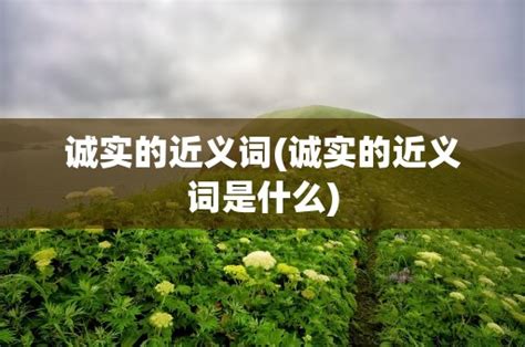 诚实的近义词是什么？ 2