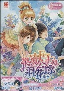 寻找《公主新娘》中文版：经典之作，渴望拥有！ 2