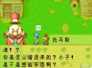 牧场物语矿石镇：全面掌握伙伴与攻略秘籍 3