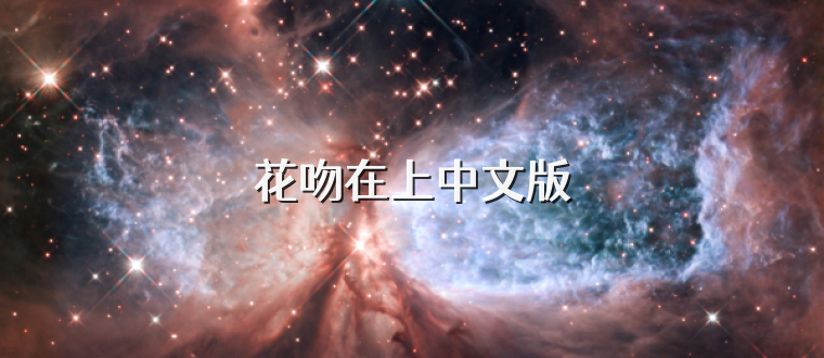 花吻在上中文版