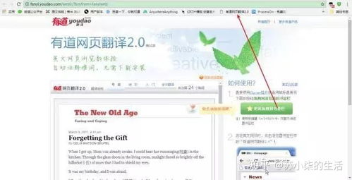 如何利用有道翻译工具翻译网页内容 2