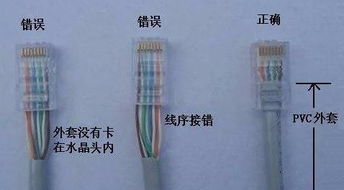 轻松学会：网线制作全攻略，包括接头接线与线序排序技巧 2