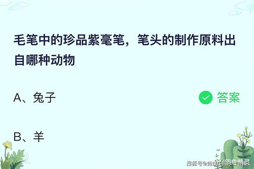 探寻蚂蚁庄毛笔瑰宝：紫毫笔为何成为珍品之谜？ 4