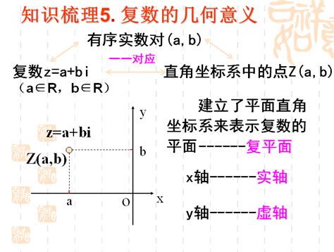 Zoos的复数形式 2