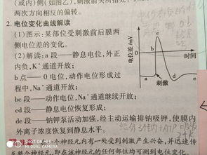 揭开电位差的神秘面纱：究竟何为电位之差？ 3