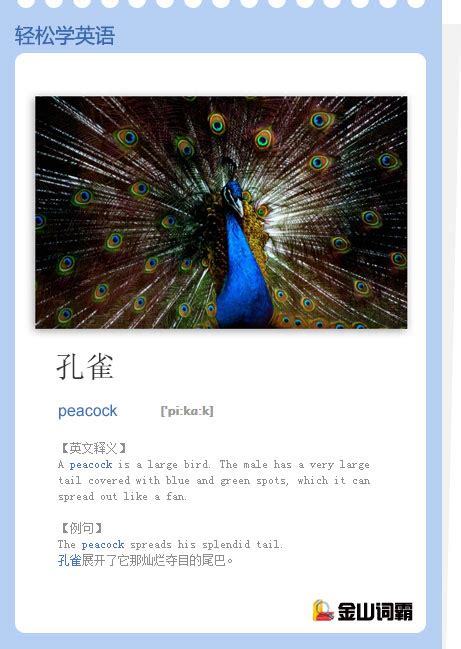 Peacock 的含义是什么？ 5