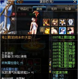 如何获取DNF怪物图鉴中的稀有蓝灵上衣？ 2