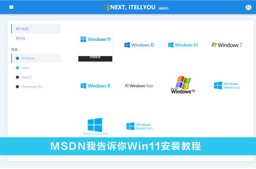 揭秘MSDN：轻松下载官方原版系统指南 4