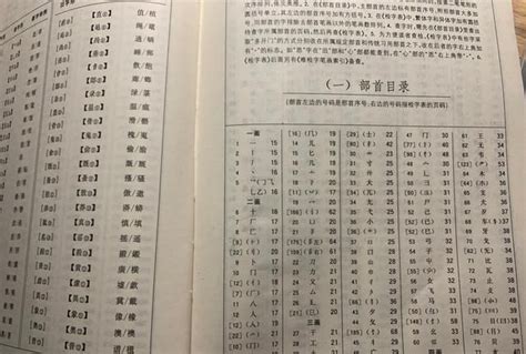 如何使用部首查字法快速查找“舒”字 1