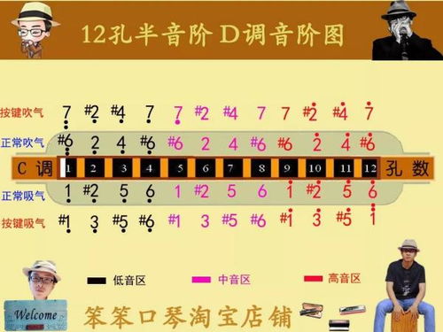 一键获取24孔口琴完整音阶图 2