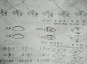 令人向往的精神特质大揭秘 3